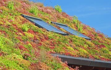 Sulaisiadar Mor living roof systems